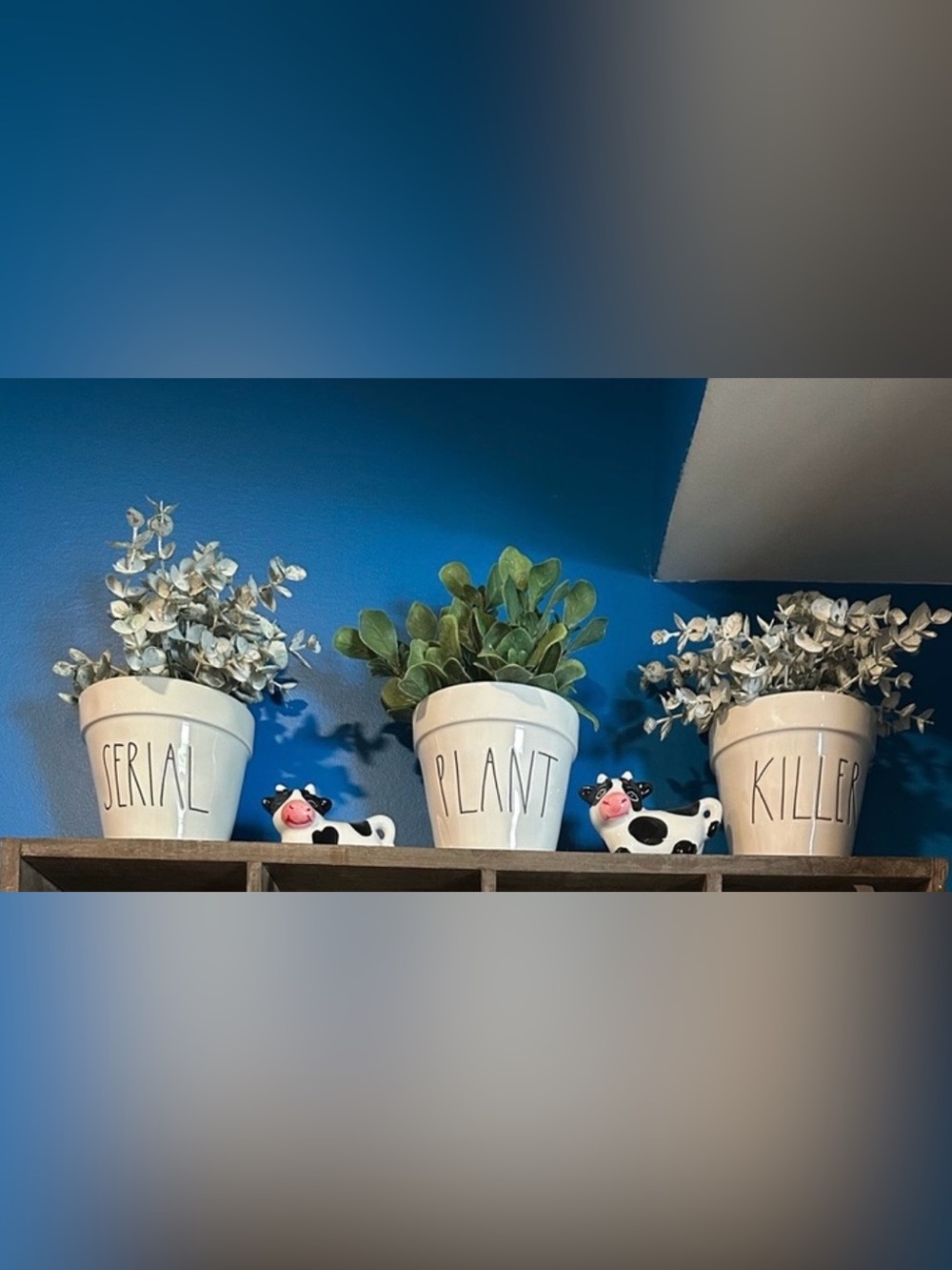 Rae Dunn * SERIAL PLANT KILLER* planters